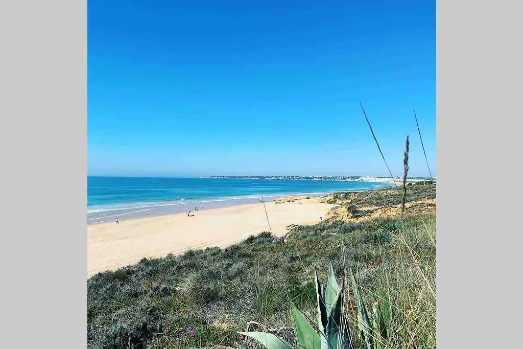 Salgados Village Apartment Guia   Guia (Faro)